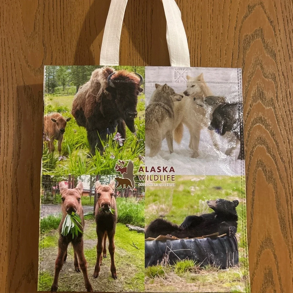 Bag - Picture 2 of 3